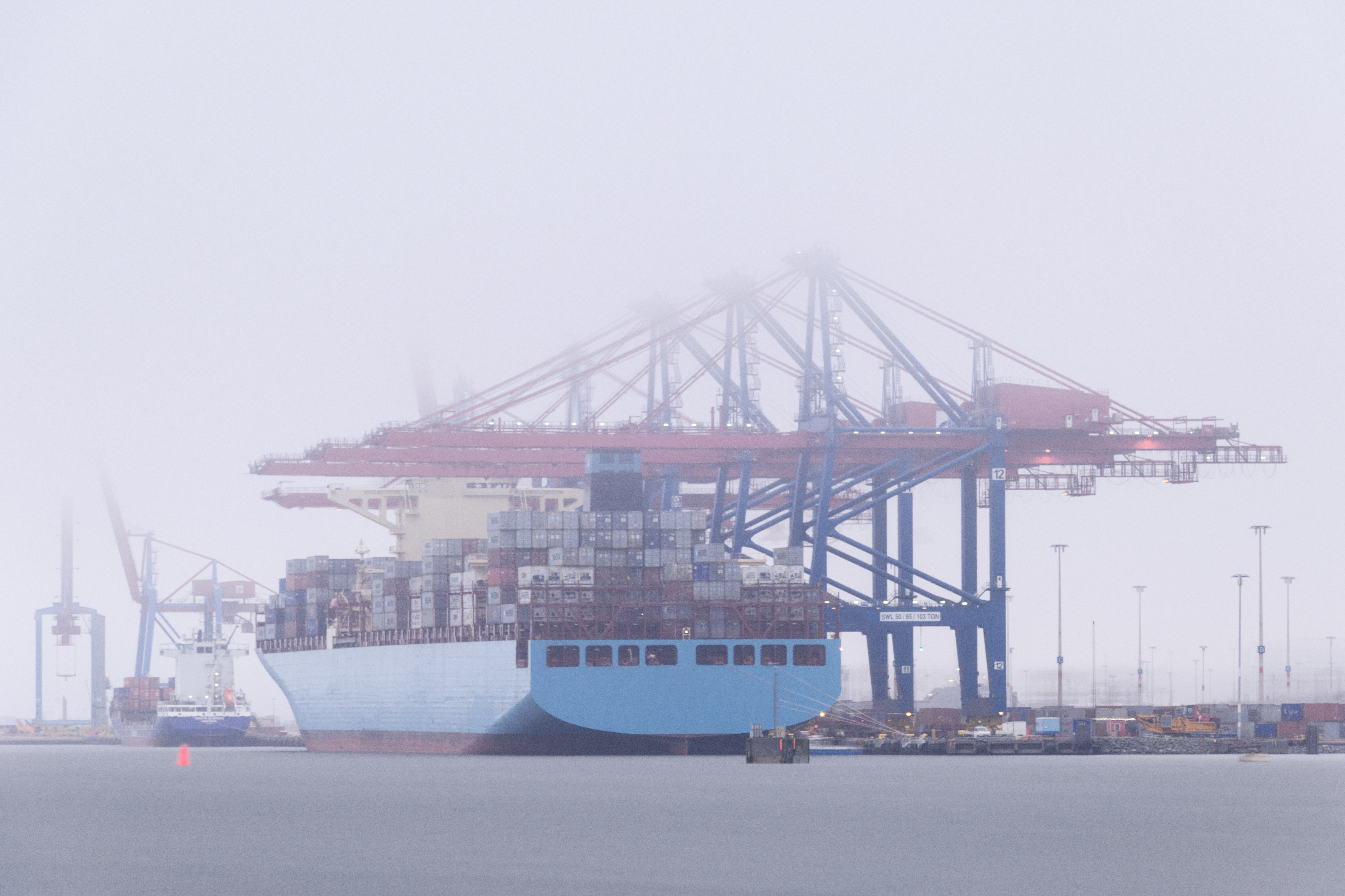 Rapportering i MSW Reportal